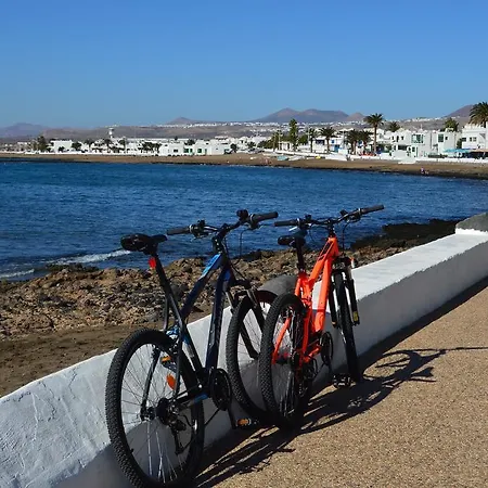 Daida Loft Lägenhet